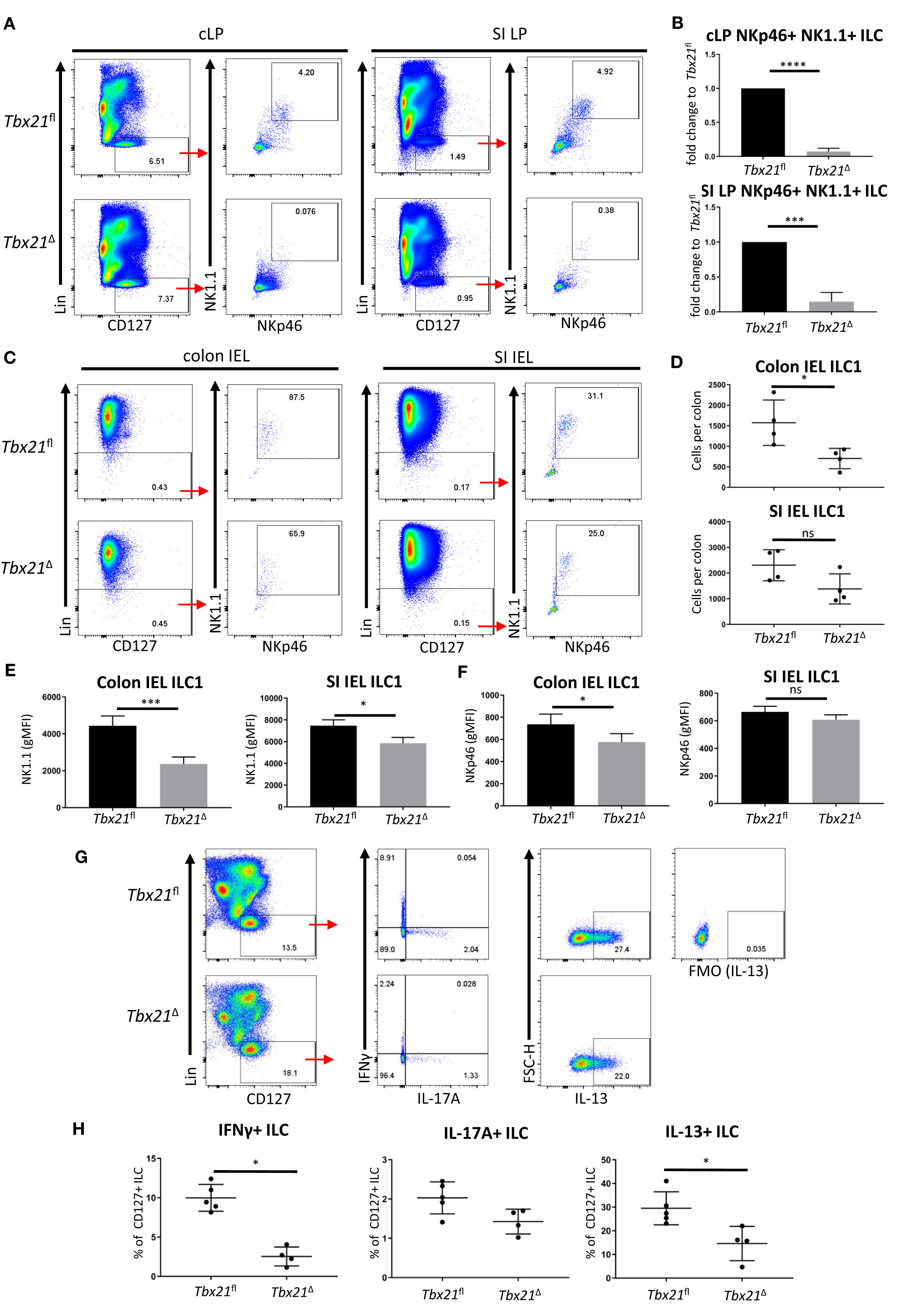 Sustained Post-Developmental T-Bet Expression Is Critical for the Maintenance of Type One Innate Lymphoid Cells In Vivo